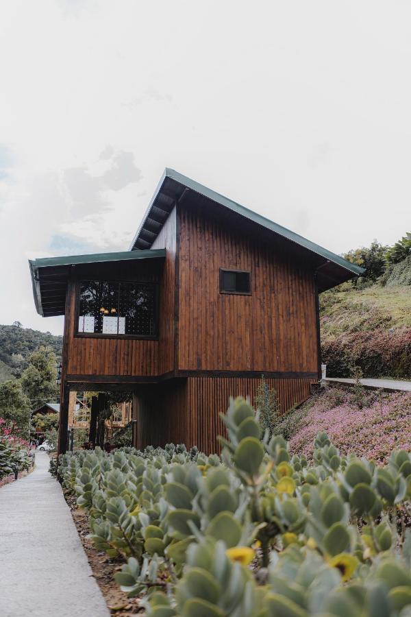 Lauraceas Lodge ซาน เจราร์โด  เด โดตา ภายนอก รูปภาพ