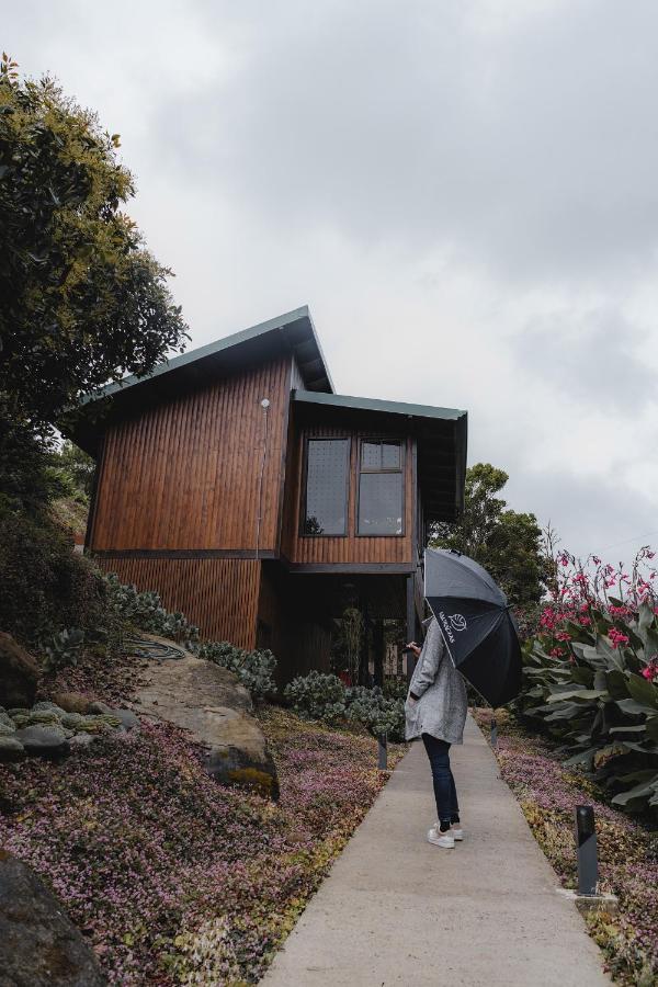 Lauraceas Lodge ซาน เจราร์โด  เด โดตา ภายนอก รูปภาพ